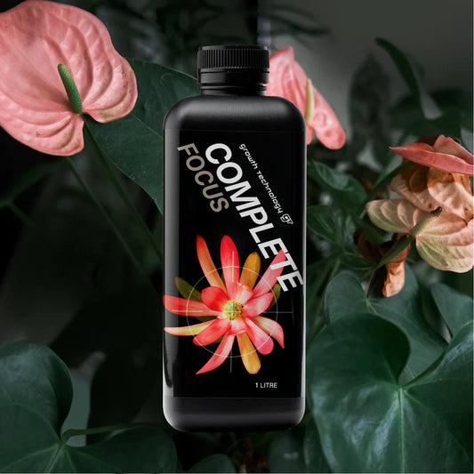 GT COMPLETE Focus 1L