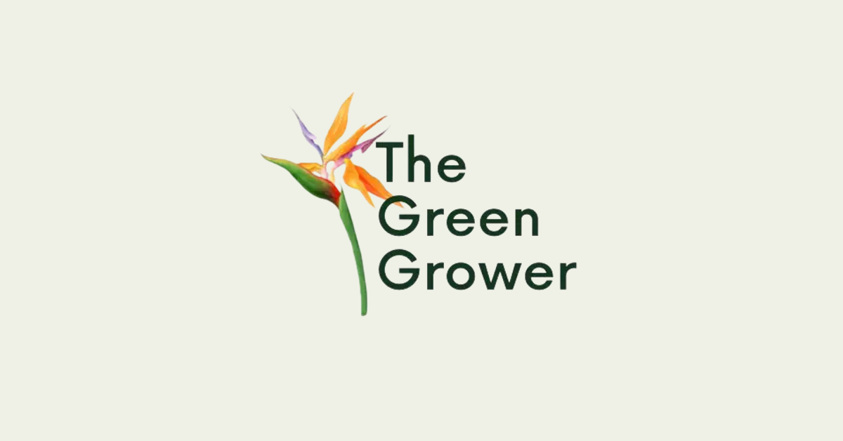 The Green Grower Buy Plants Online Houseplant Delivery Nationwide