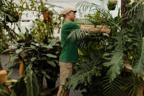 Visit Our Plant Shop