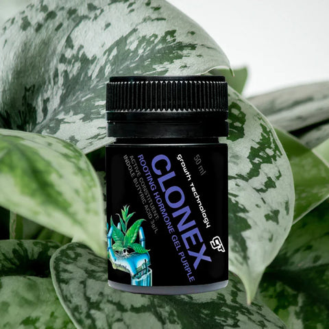 GT CLONEX Rooting Gel - Purple 50ml