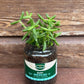 Delosperma Echinatum “Pickle Plant”
