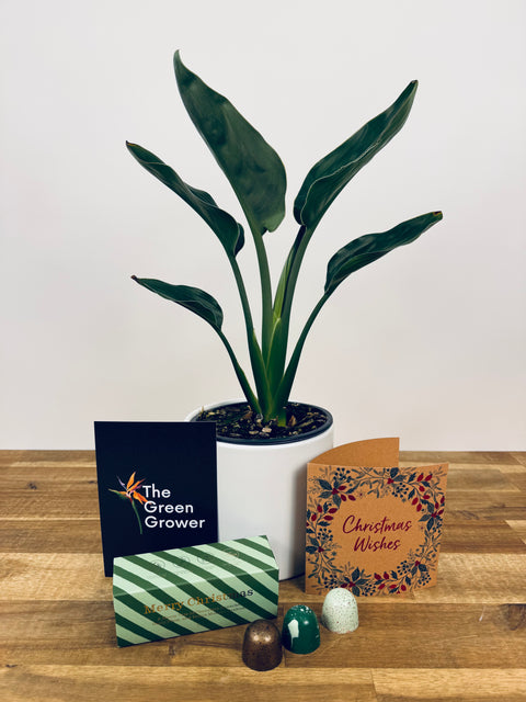 The Sweet Tooth Christmas Gift Pack